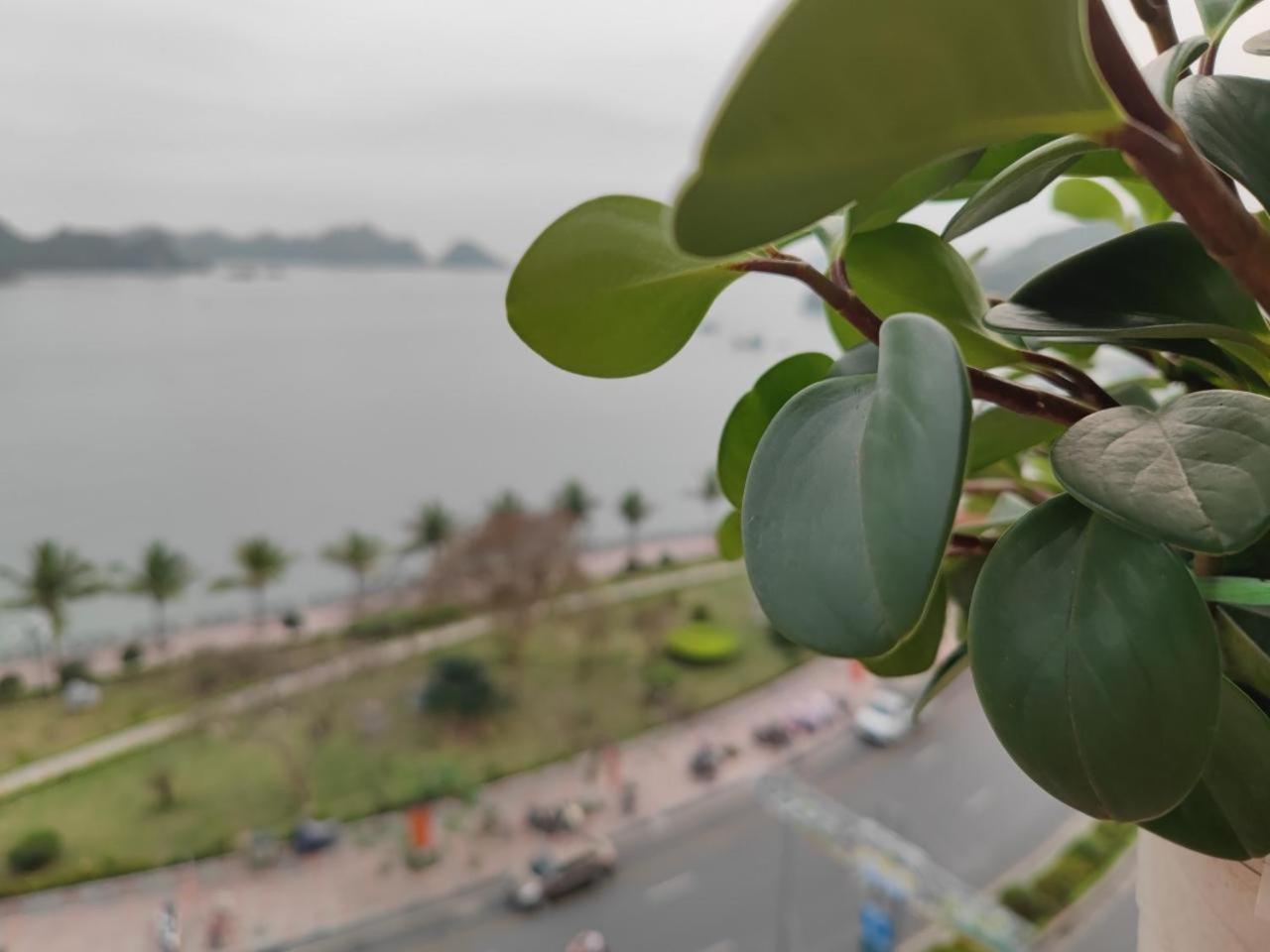 Star Hotel Cat Ba Island Exterior photo